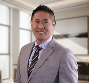 Cross-border legal professional